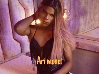 Ari_monet