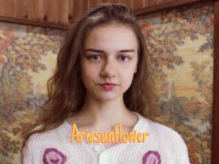 Ariasunflower