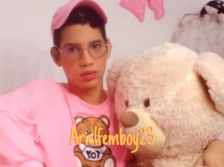 Arielfemboy23