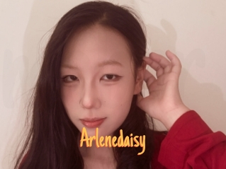 Arlenedaisy