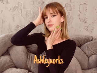 Ashleyuorks