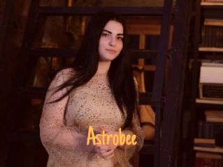 Astrobee