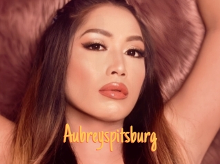 Aubreyspitsburg