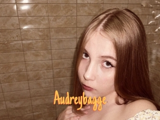 Audreybagge
