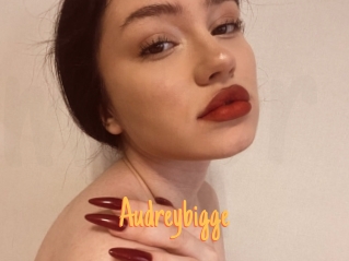 Audreybigge