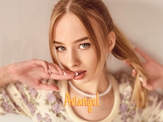 Aviangel