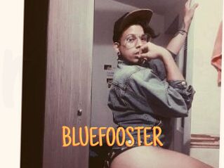BLUEFOOSTER