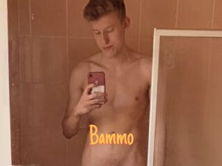 Bammo