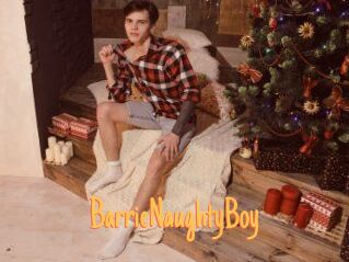 BarrieNaughtyBoy