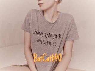 BatCat690