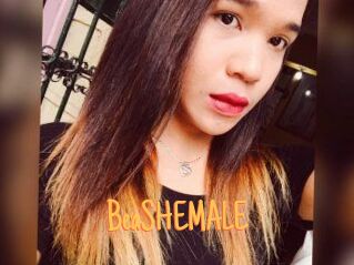 BeaSHEMALE