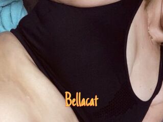 Bella_cat