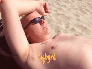 Bigbyrd