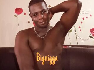 Bignigga
