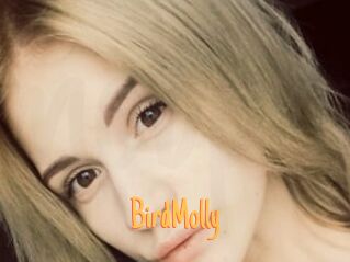 BirdMolly