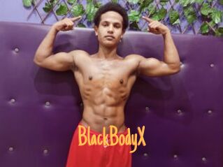 BlackBodyX
