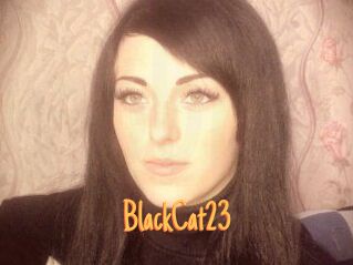 BlackCat23