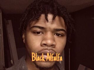 Black_Alfalfa