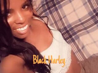 Black_Harley