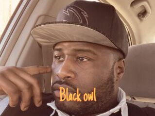 Black_owl