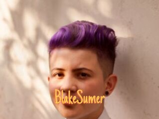 BlakeSumer