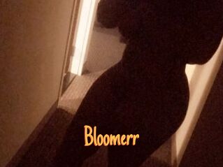 Bloomerr