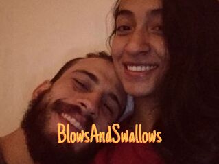 BlowsAndSwallows