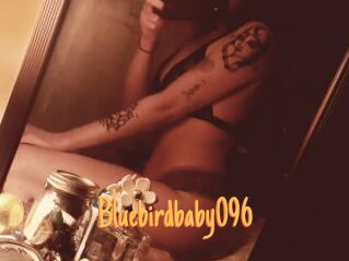 Bluebirdbaby096