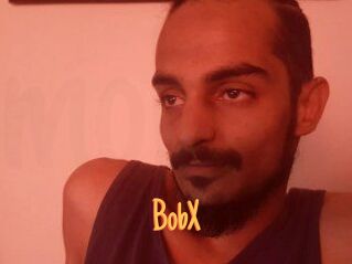 BobX Mobile Porno