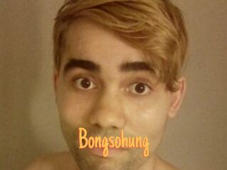 Bongsohung