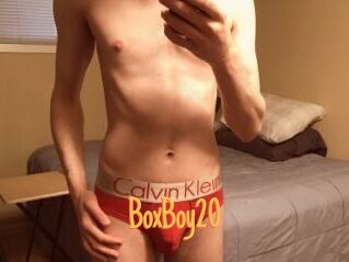 BoxBoy20