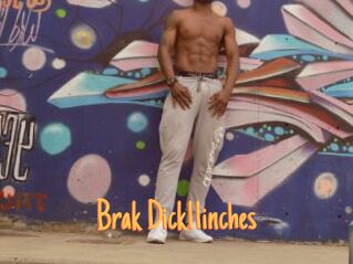 Brak_Dick11inches