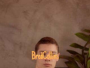 BredCollins