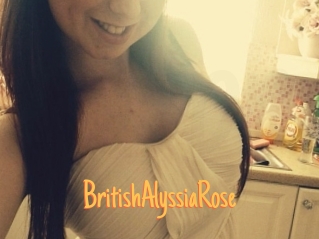 BritishAlyssiaRose