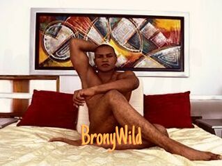 BronyWild