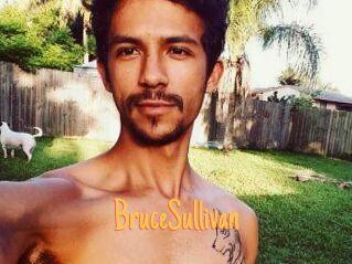 Bruce_Sullivan