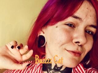 Buzzzz_Cat