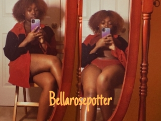 Bellarosepotter