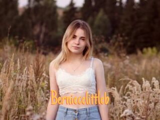 Berniecelittleb