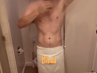 Bibud