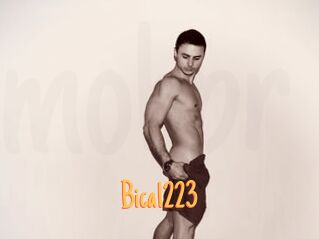 Bica1223