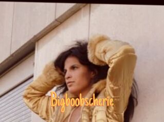 Bigboobscherie