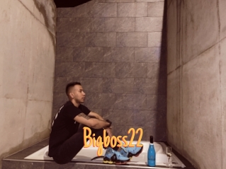 Bigboss22