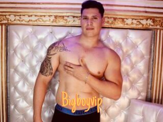 Bigboyvip