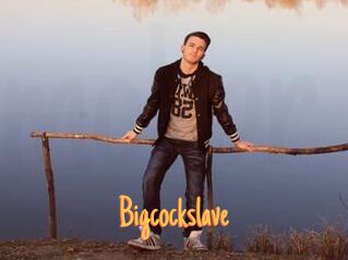 Bigcockslave