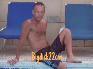 Bigdick22cm