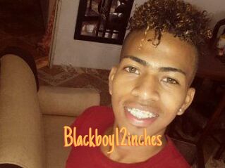 Blackboy12inches