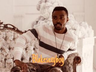 Blakesexyboy