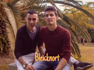 Bleicknort