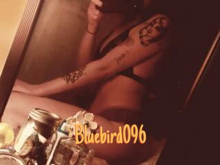 Bluebird096